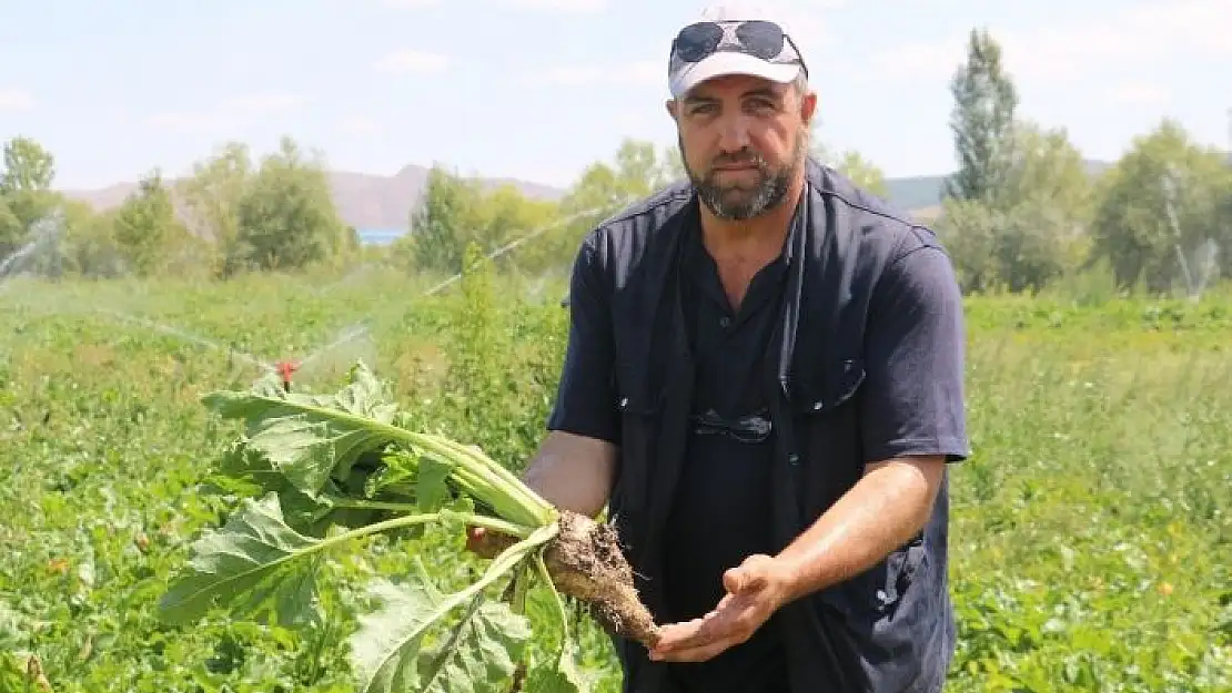 'Sivaslı pancar üreticileri fabrika istiyor'