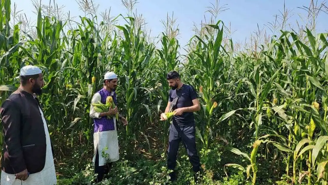 'Sivaslılar Bangladeşlilere tarım öğretiyor'