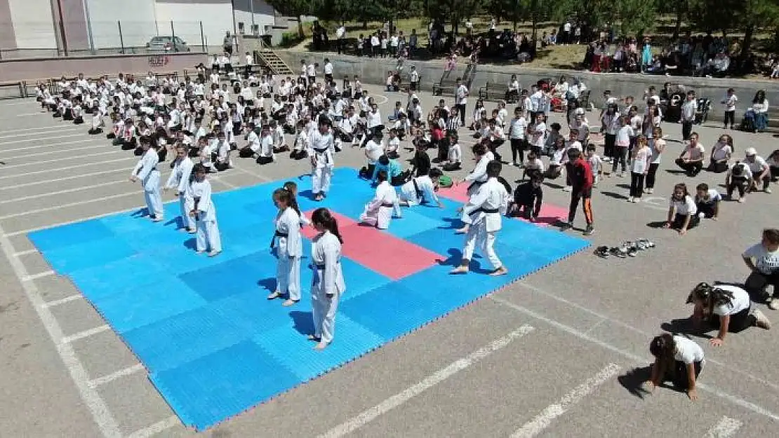 'Sivasta 450 kişilik karate gösterisi dikkat çekti'