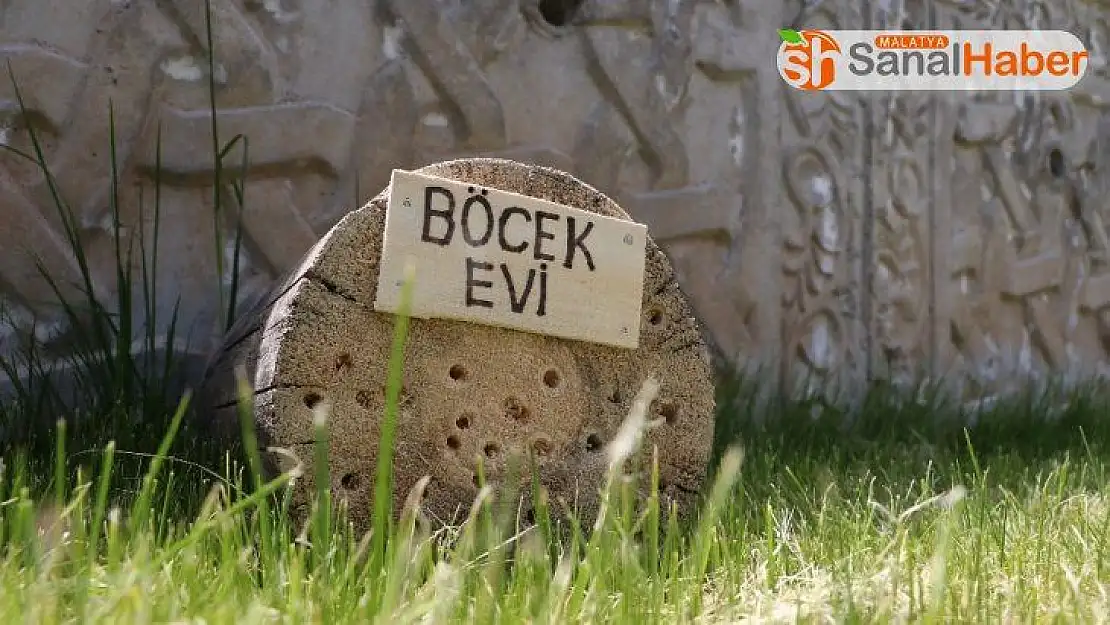 Sokağa çıkamayan öğrenciler, böcekler için ev yaptı