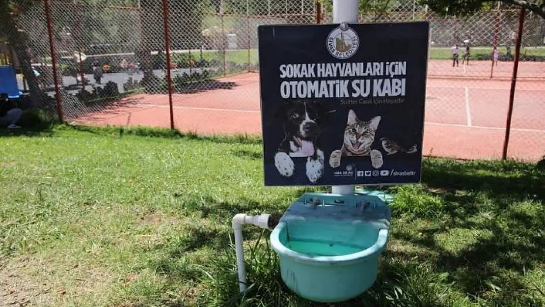 'Sokak hayvanları için otomatik sulama sistemi'