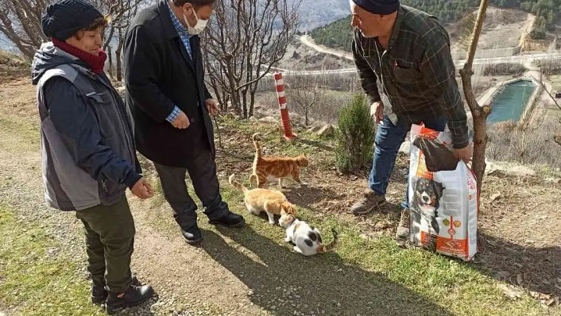 'Sokak hayvanları unutulmadı,1 ton mama doğaya bırakıldı'