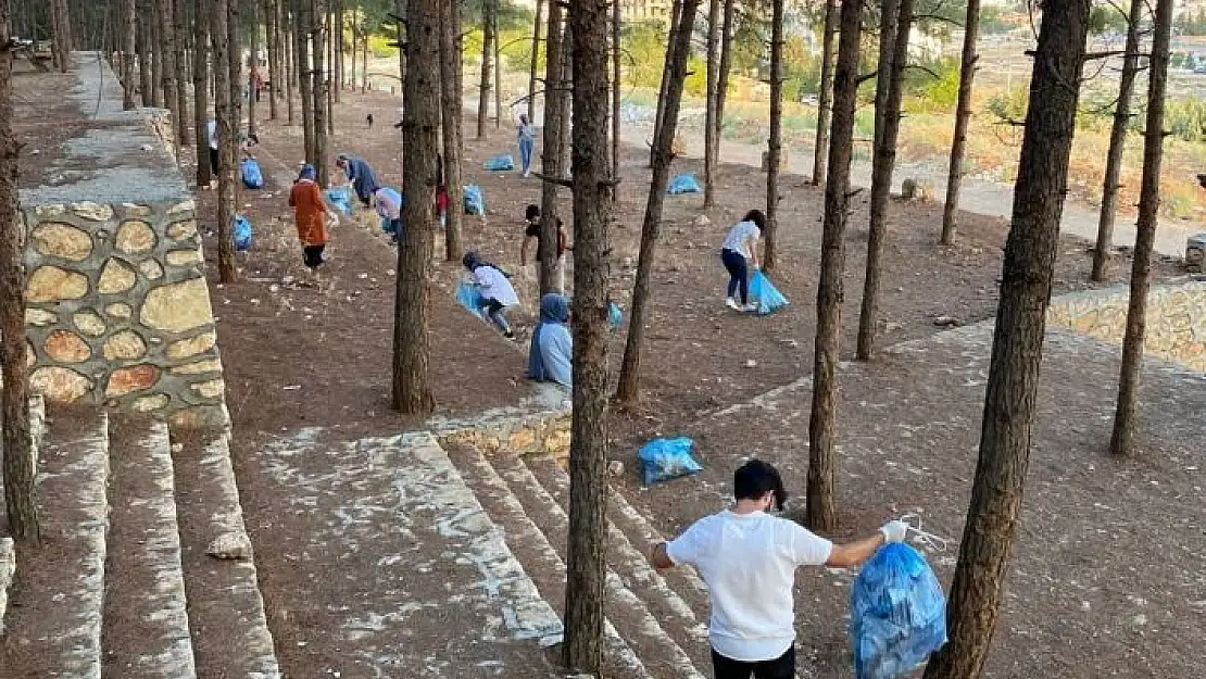 'Sosyal medya üzerinden bir araya gelip ormanı temizlediler'