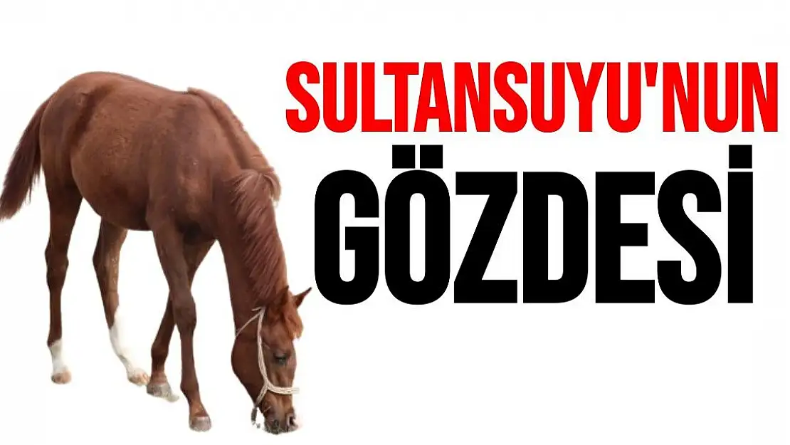 Sultansuyu'nun gözde