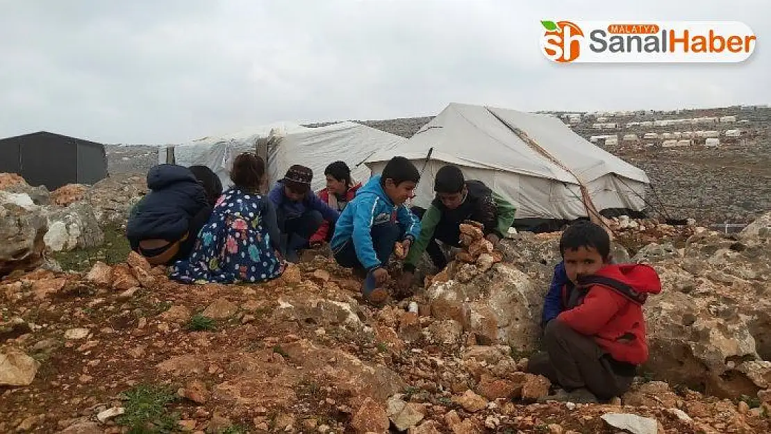 Suriye'de 500 bin çocuk yerinden edildi