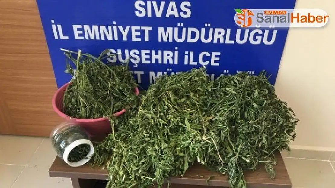 Suşehri'nde uyuşturucu operasyonu