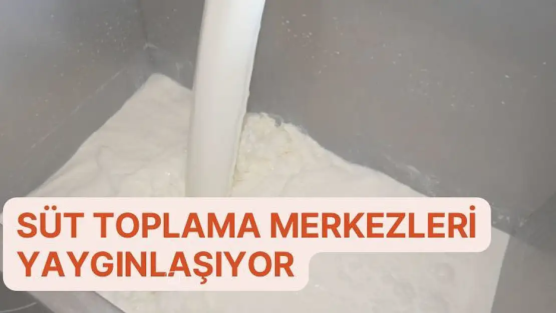 Süt Toplama Merkezleri yaygınlaşıyor