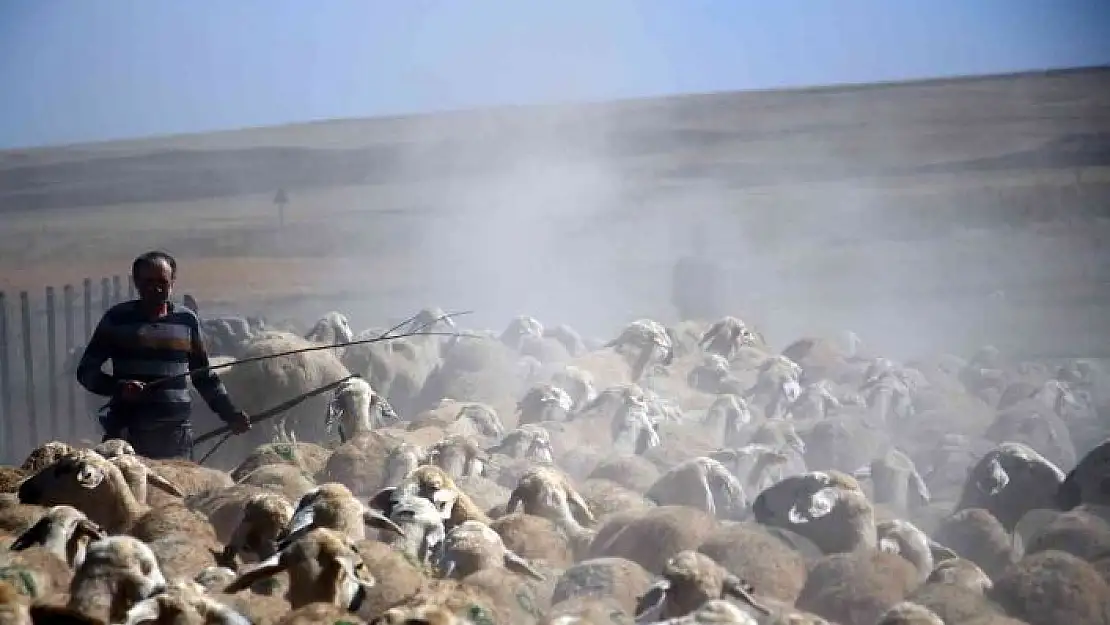 'Suya ulaşmak için 15 kilometrelik tozlu yolculuk'