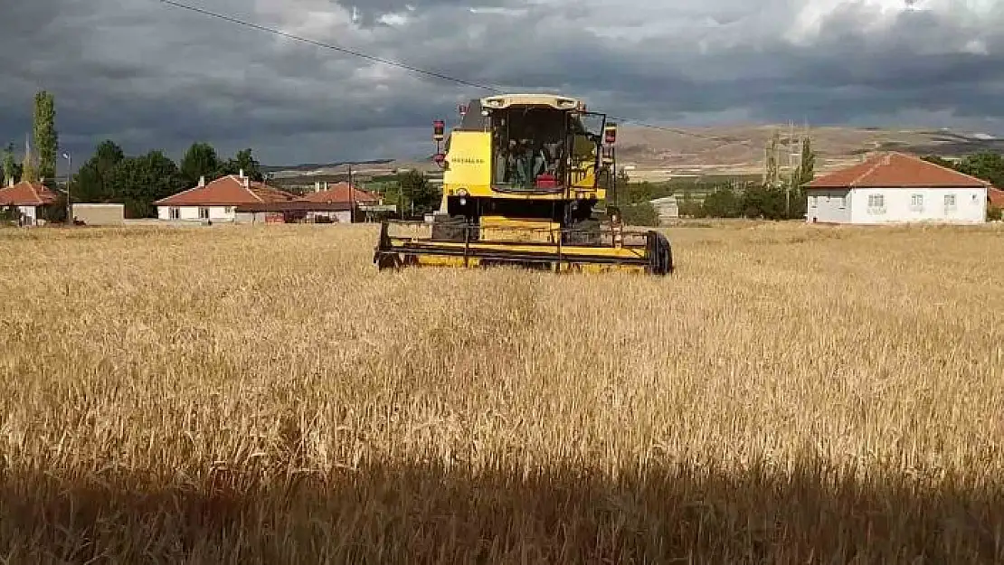 'Tahıl ambarında arpa hasadı başladı'