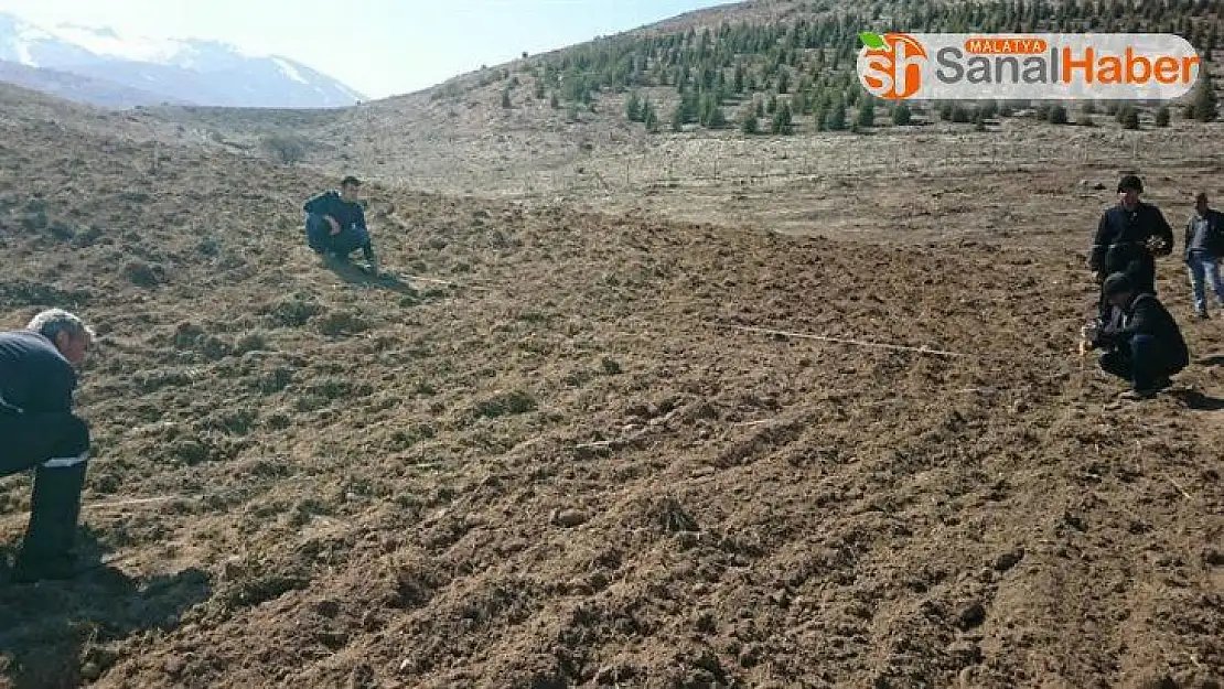 Tarımsal faaliyetler için il dışına çıkılabilir mi?