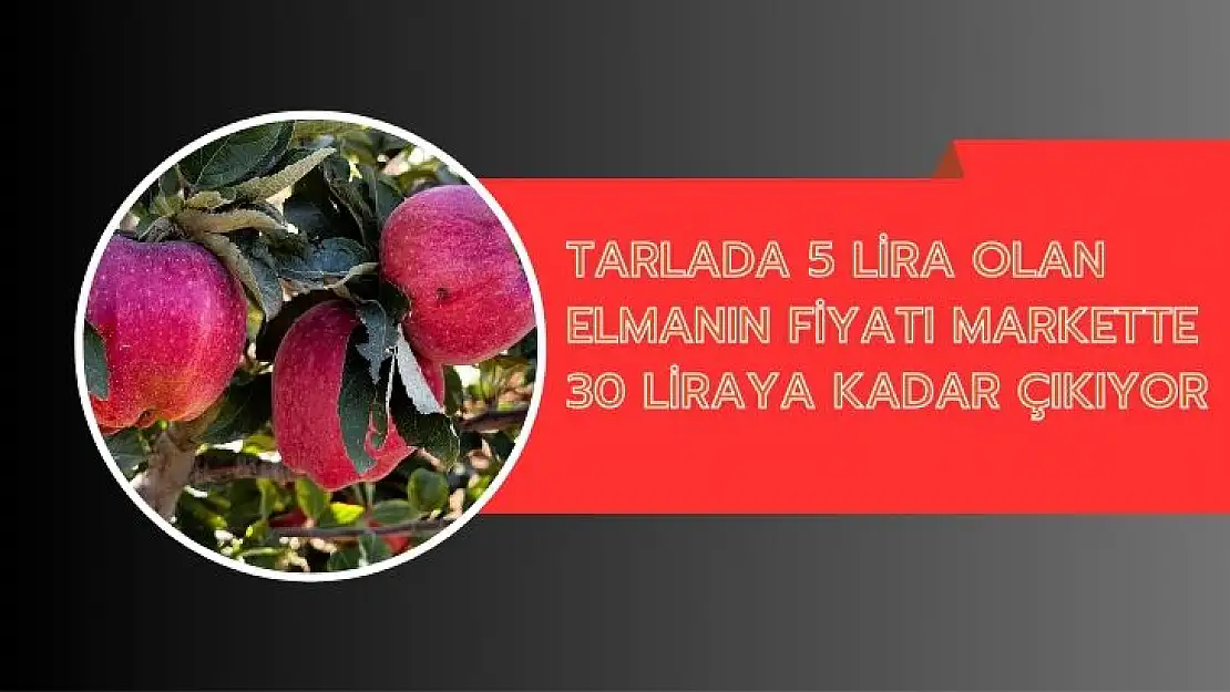 Tarlada 5 lira olan elmanın fiyatı markette 30 liraya kadar çıkıyor