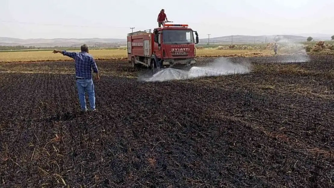 'Tarlada çıkan yangında 5 dönüm buğday küle döndü'