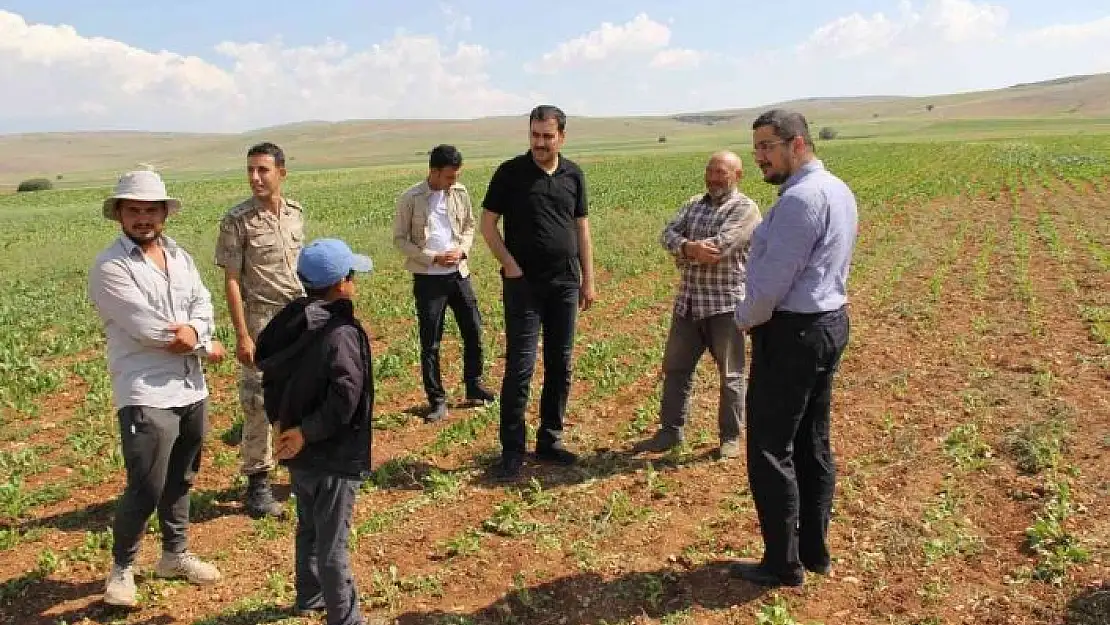 'Tarlada mevsimlik işçilerle hasbihal'