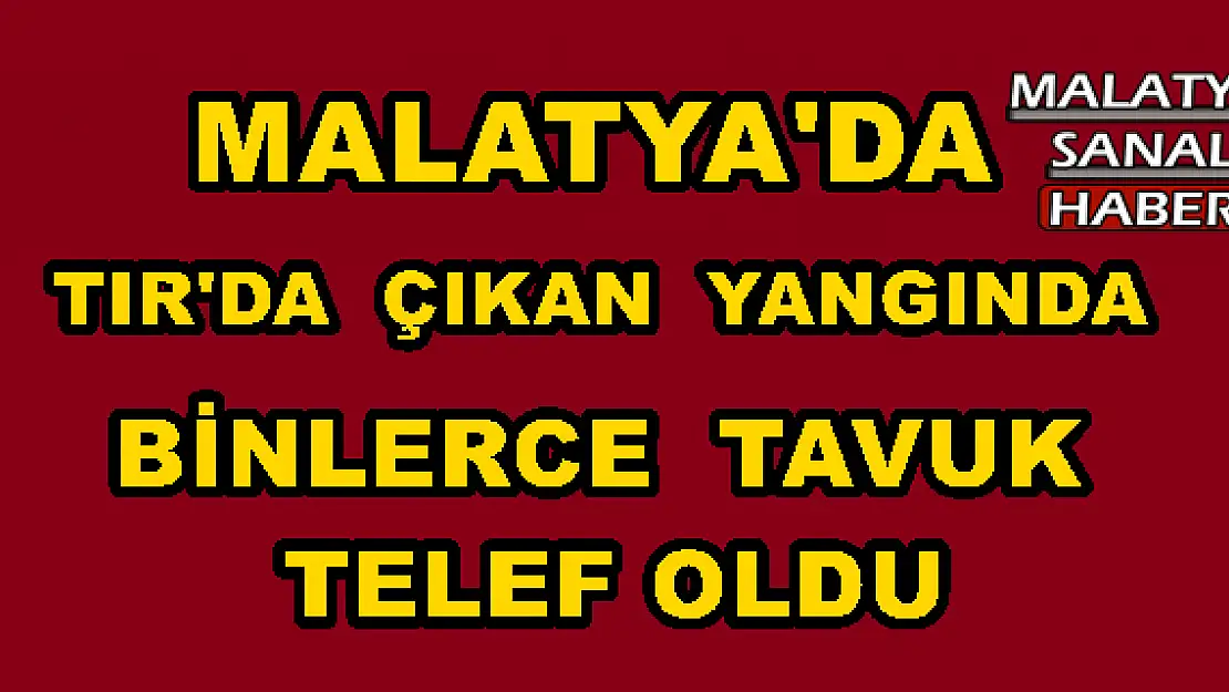 Malatya'da TIR´da çıkan yangında binlerce tavuk telef oldu