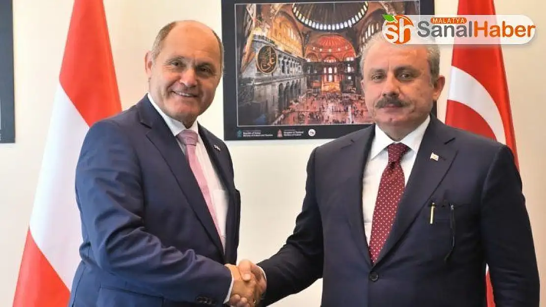 TBMM Başkanı Şentop, Avusturya Ulusal Meclis Başkanı Sobotka ile görüştü