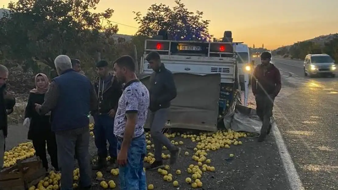 'Tekeri patlayan elma yüklü kamyonet devrildi'