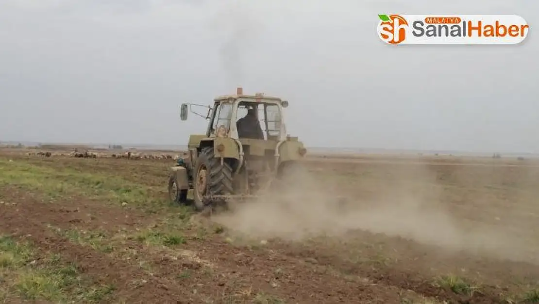 Tel Abyad'da buğday hasadı başladı