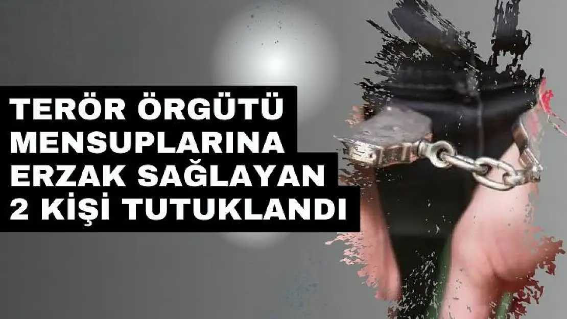 Terör örgütü mensuplarına erzak sağlayan 2 kişi tutuklandı