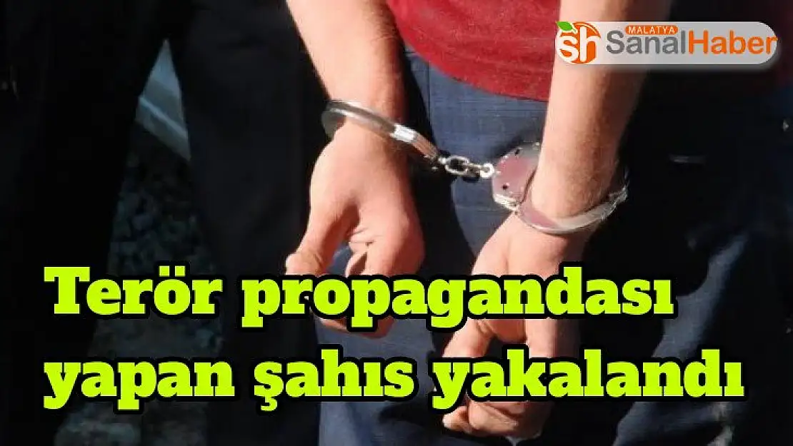 Terör propagandası yapan şahıs yakalandı