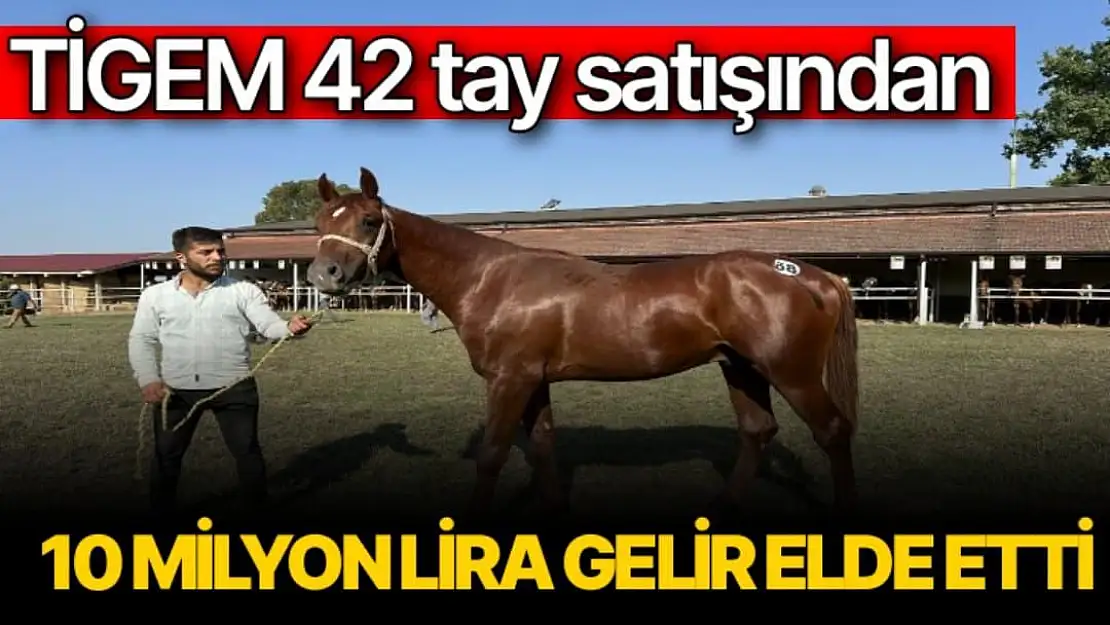 TİGEM 42 tay satışından 10 milyon lira gelir elde etti