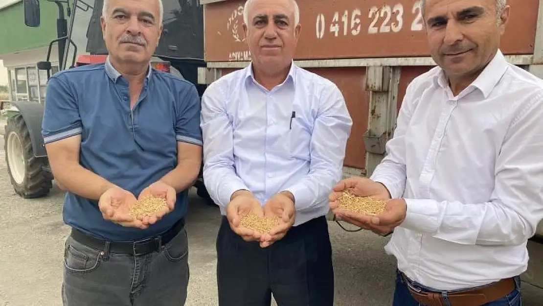 'TMO, hububat alımlarına başladı'