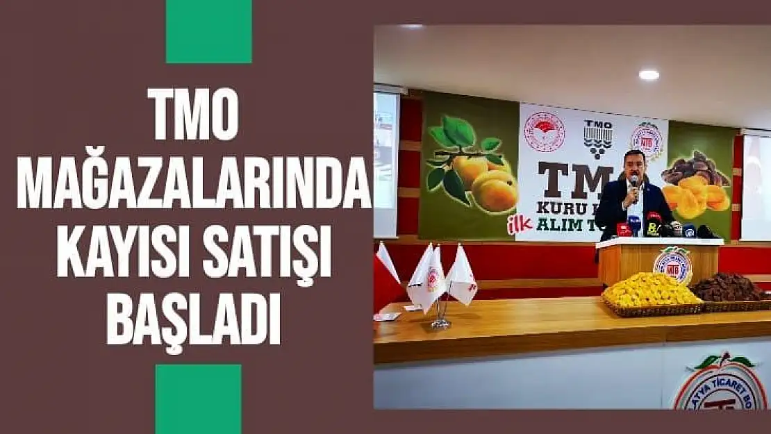 TMO mağazalarında Kayısı satışı başladı