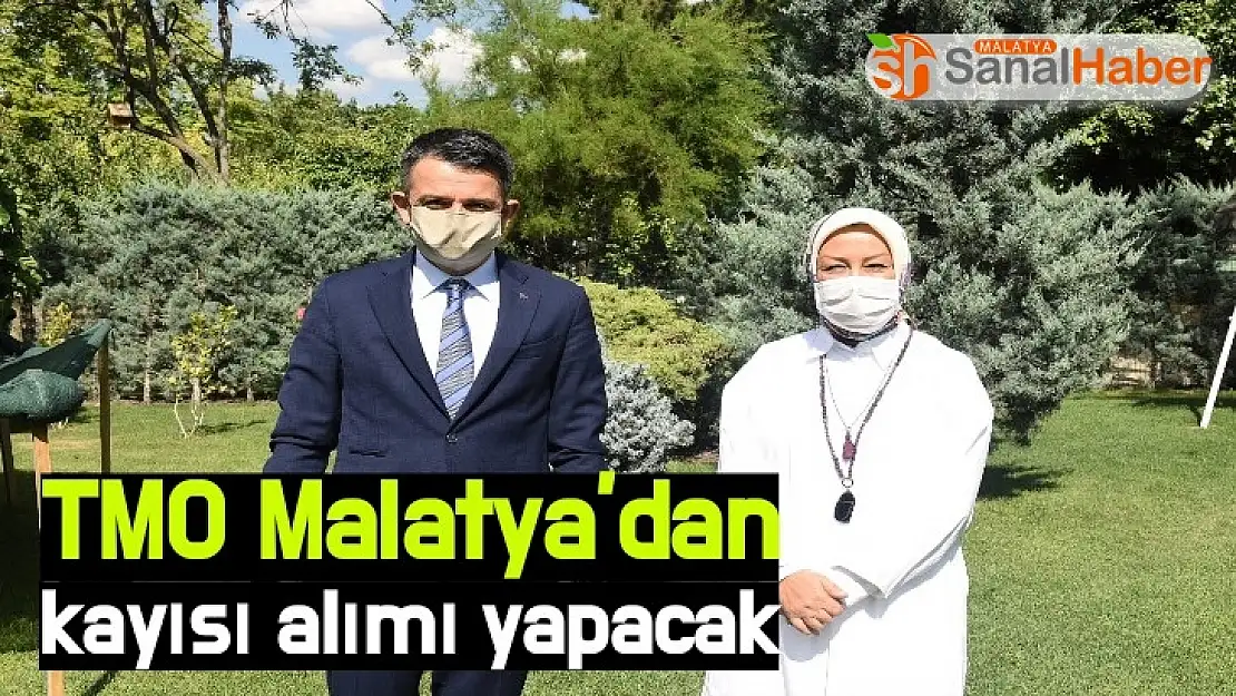 TMO Malatya'dan kayısı alımı yapacak