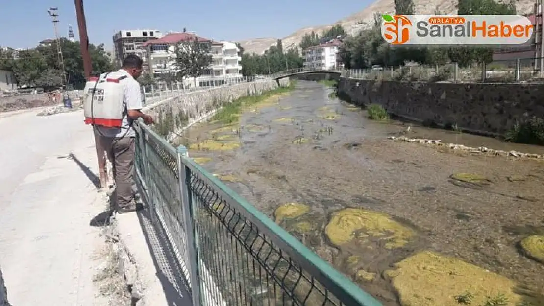 Tohma Çayı'nda ilaçlama yapıldı