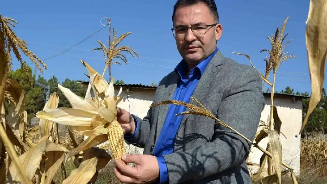 'Tohumda dışa bağımlılıktan kurtuluyoruz, Türk bilim adamları geliştirdi'