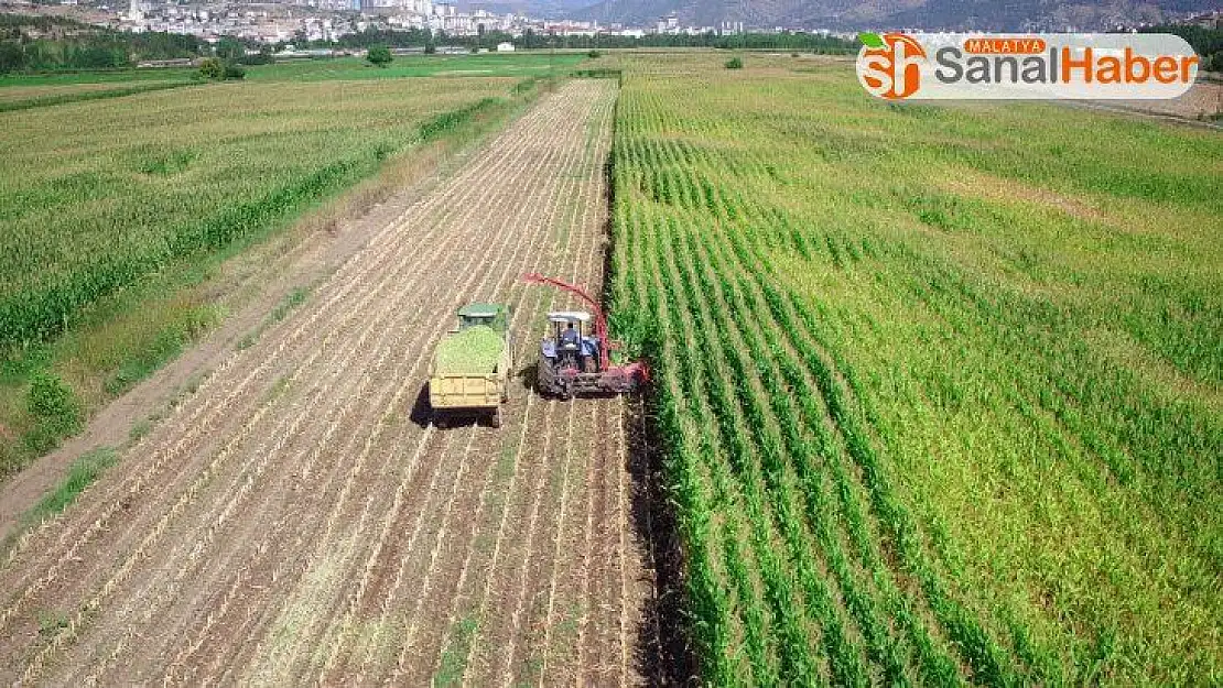 Tokat'ta 243 bin 490 dekar tarım arazisi sulandı