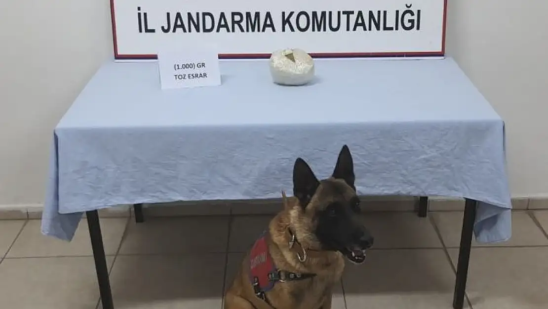 'Toplamda 1 kilo 665 gram toz esrar ele geçirildi'