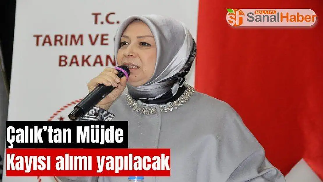 Çalık´tan Müjde  Kayısı alımı yapılacak