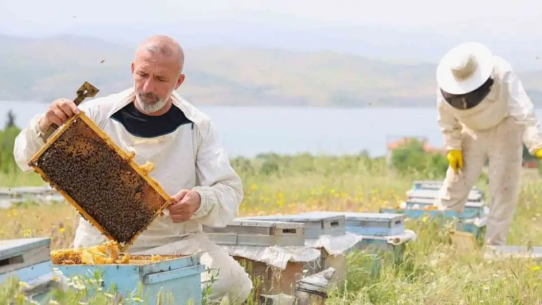 'Toz taşınımı polen ve nektara ulaşımı zorlaştırdı, arılar strese girdi'