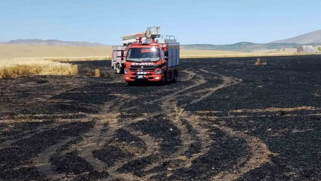 'Trafodan çıkan kıvılcım 70 dönümlük ekili alanı kül etti'