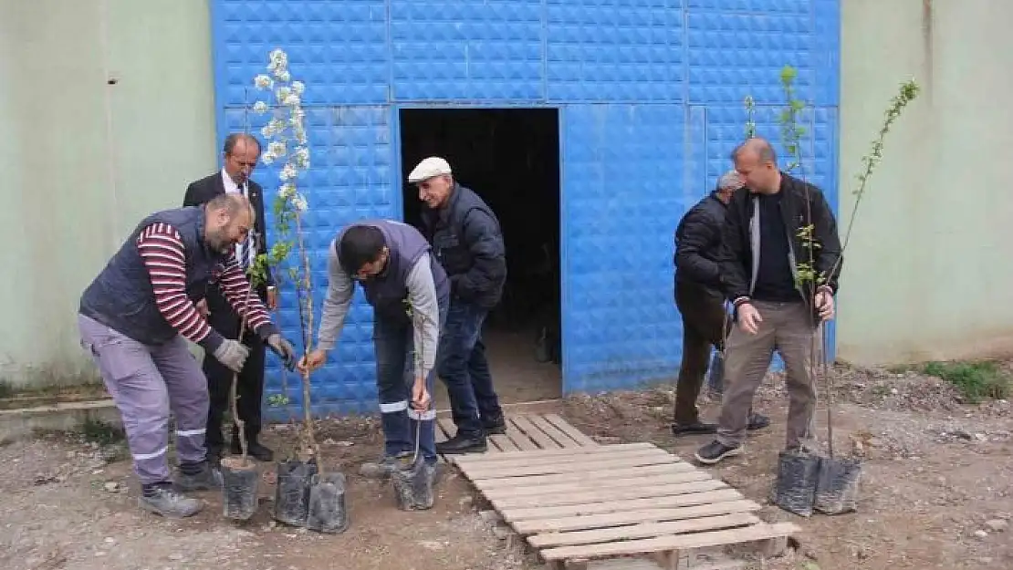 'Traktör kazasında ölen babası için ilginç bir hayır yaptı'