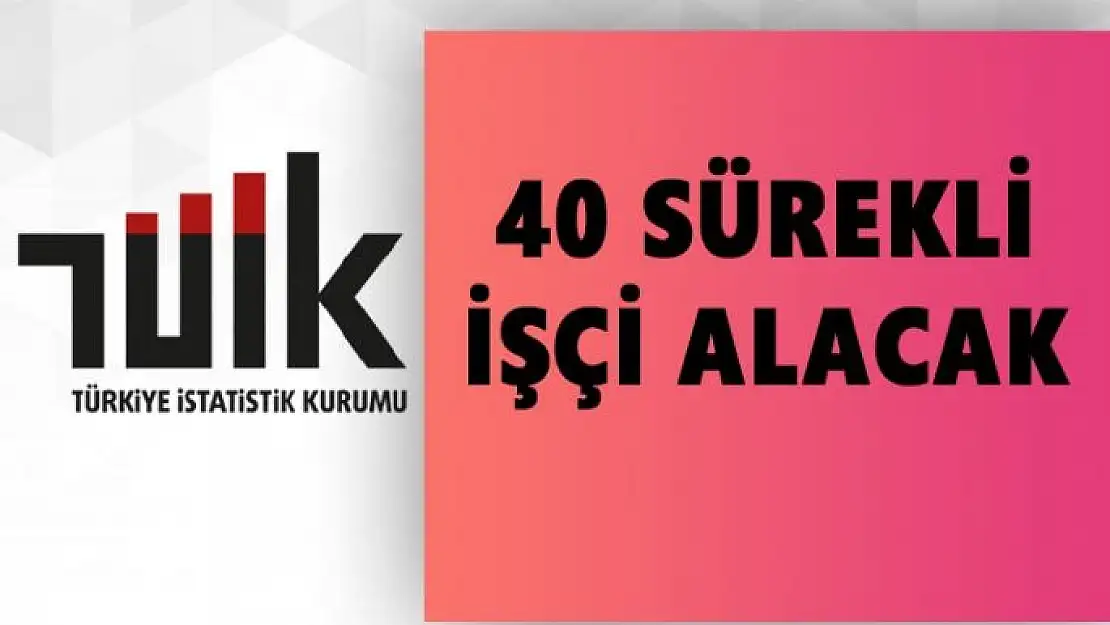 TÜİK 40 sürekli içi alacak