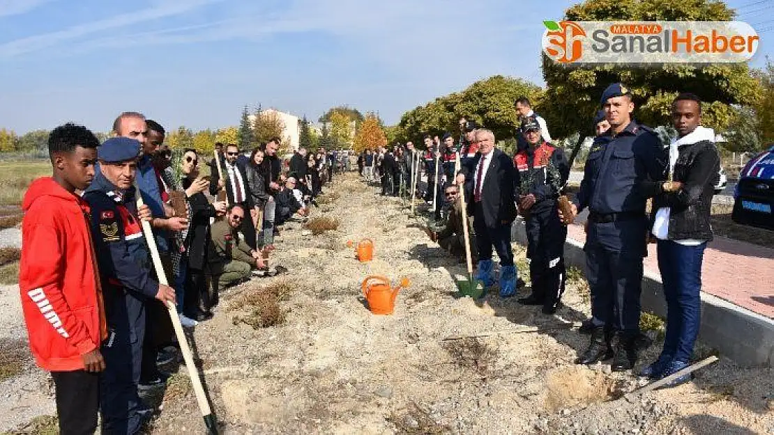 Turgut Özal Üniversitesi de fidan dikti