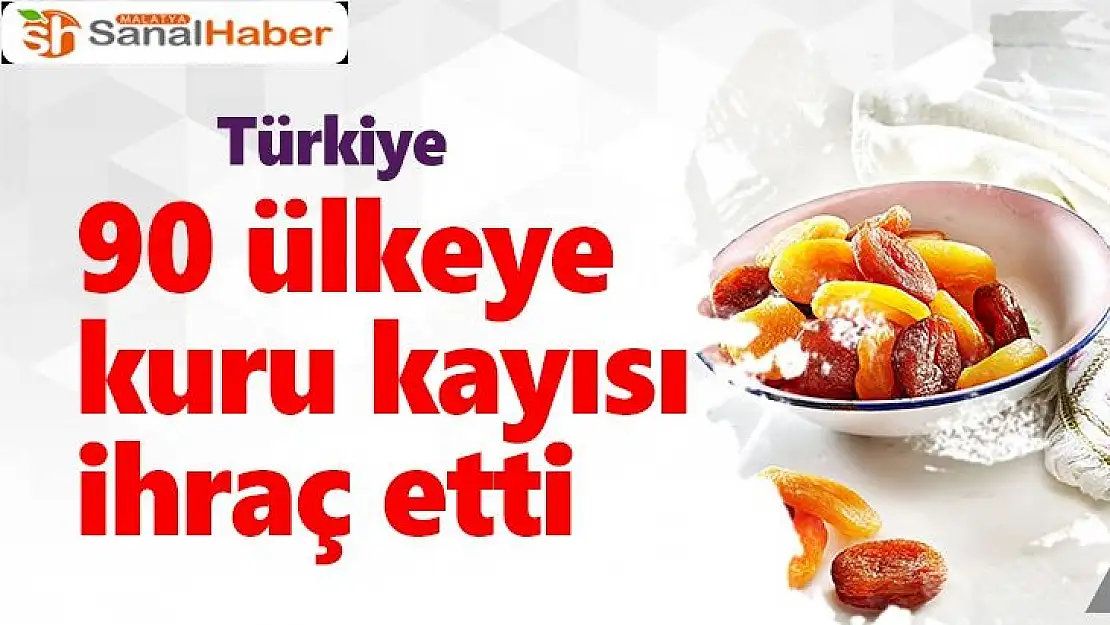 Türkiye, 90 ülkeye kuru kayısı ihraç etti