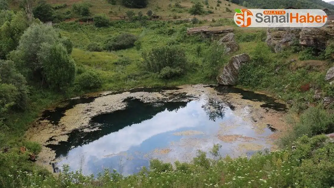 Türkiye'de dört taneler, Sivas'taki turistlerin ilgi odağı