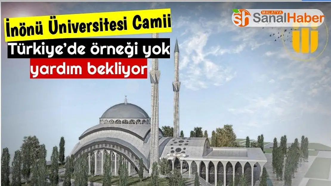 Türkiye'de örneği yok yardım bekliyor