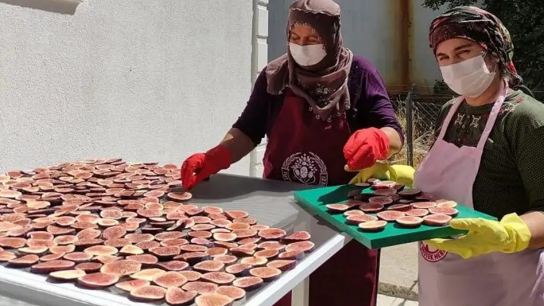 'Tutlu kadınlar siyah incir cipsi yapıyor'