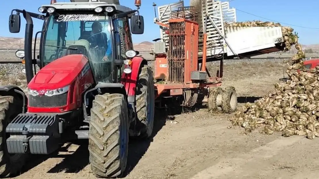 'Ulaş´ta şeker pancarı rekoltesinin 1 milyon tonu geçmesi bekleniyor'