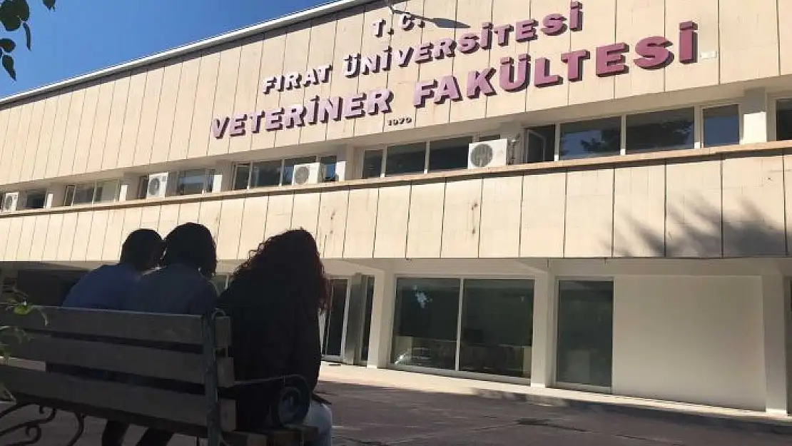 'Uluslararası başarıya imza atan FÜ Veteriner Fakültesi, EAEVE tarafından akredite edildi'