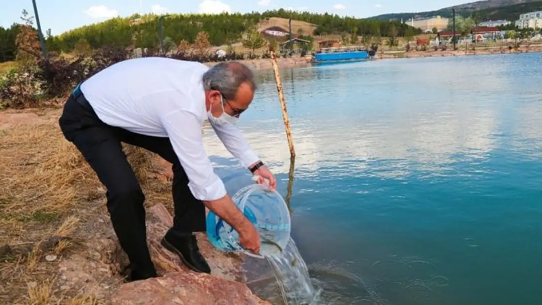 'Üniversite içerisindeki göletin yosunlarını balıklarla temizlenecek'