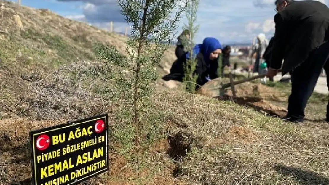 'Üniversite öğrencileri şehitler anısına fidan dikti'