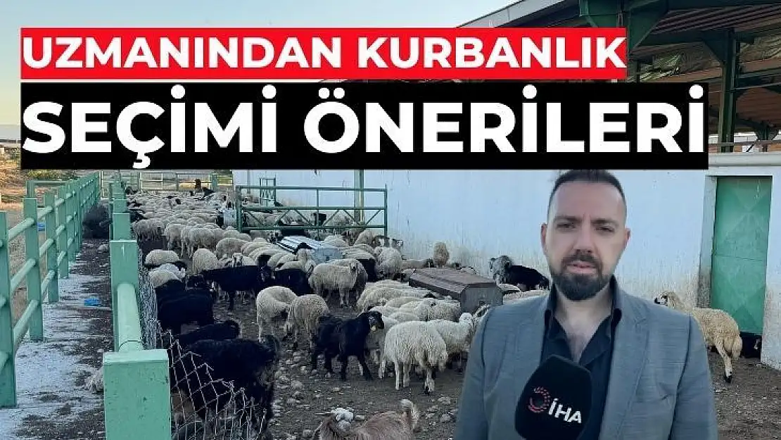 Uzmanından kurbanlık seçimi önerileri