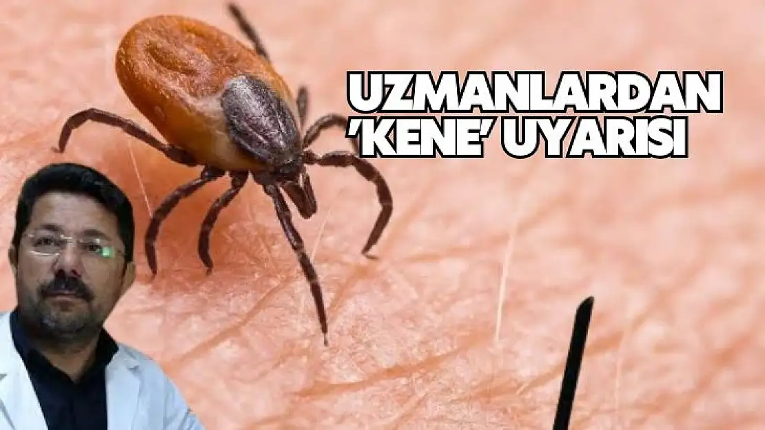 Uzmanlardan kene uyarısı