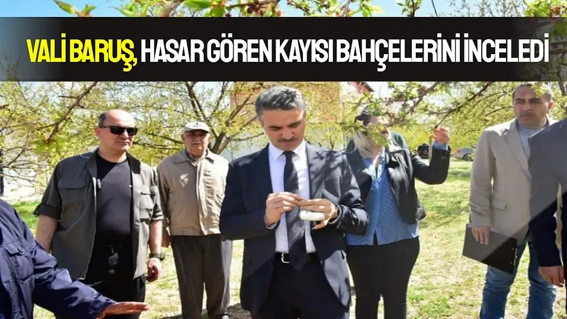 Vali Baruş, hasar gören kayısı bahçelerini inceledi