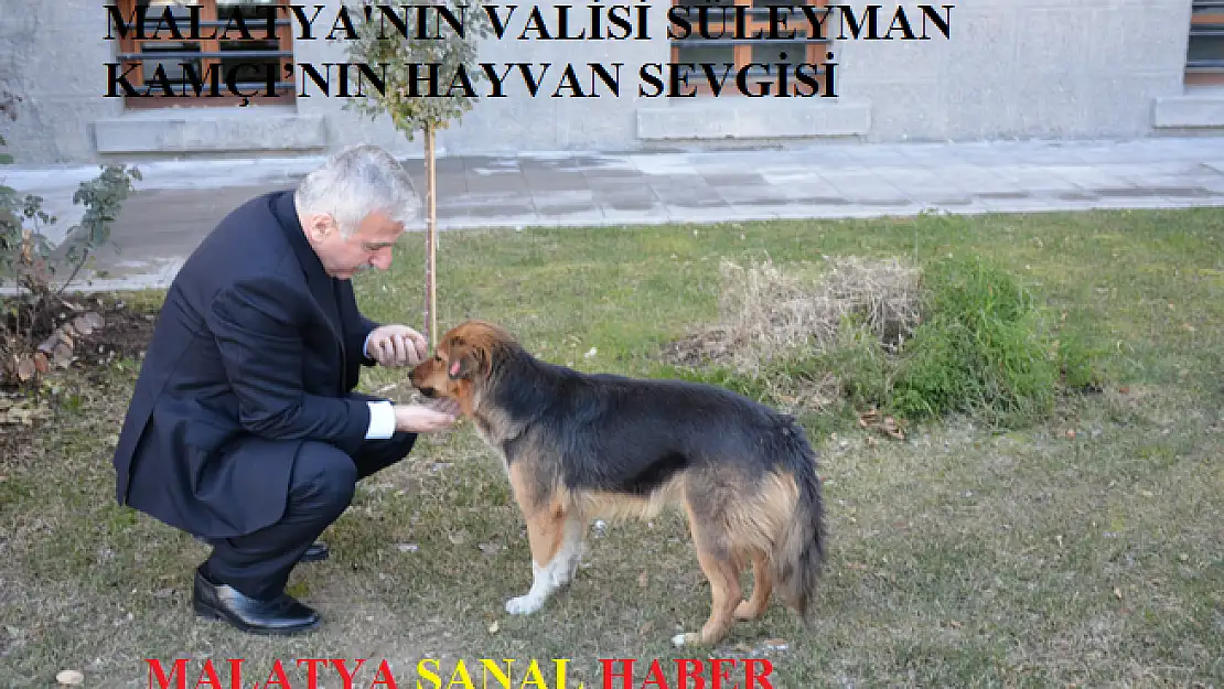 MALATYA'NIN VALİSİ SÜLEYMAN KAMÇI´NIN HAYVAN SEVGİSİ
