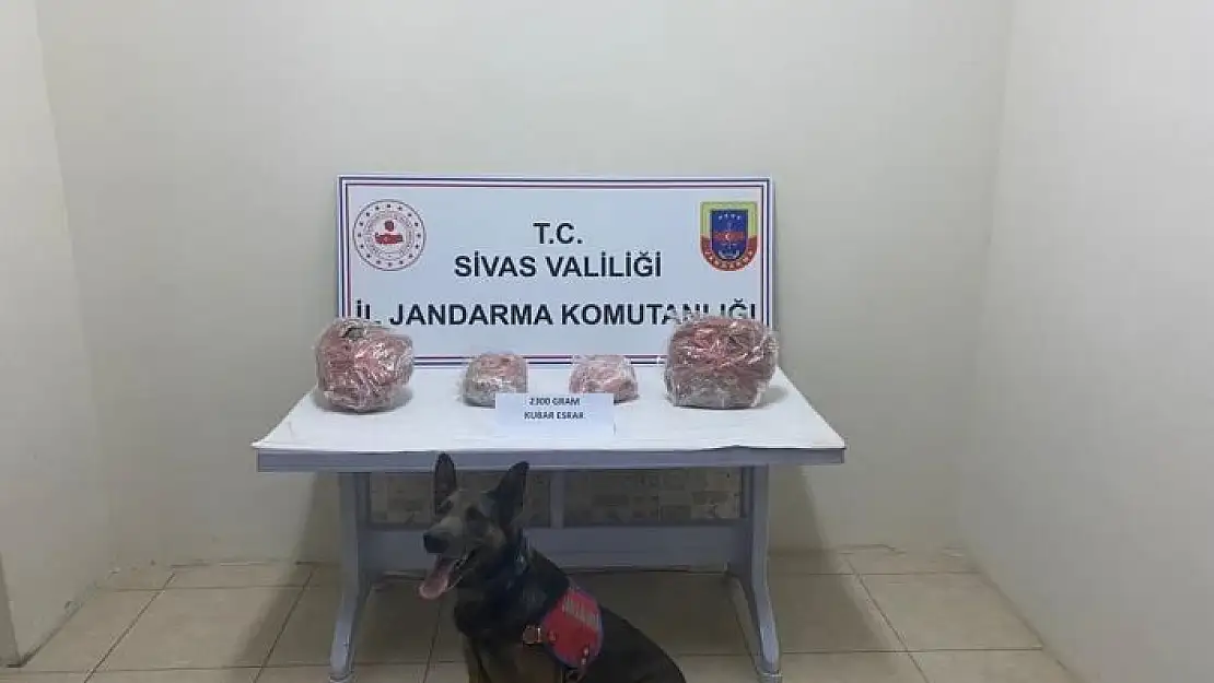 'Valizinden 2 kilo 300 gram kubar esrar çıktı'